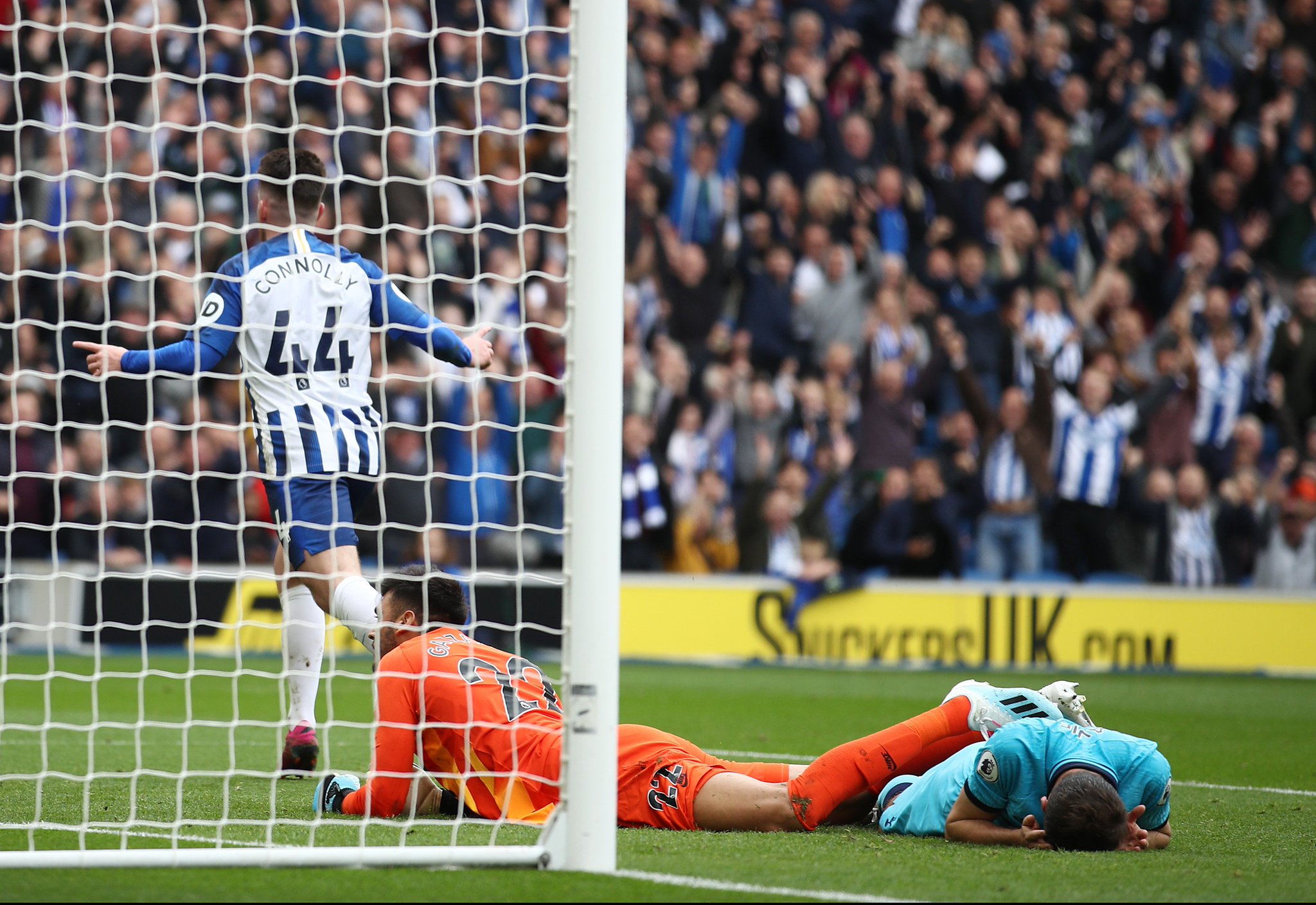 理性和热情 理性和热情