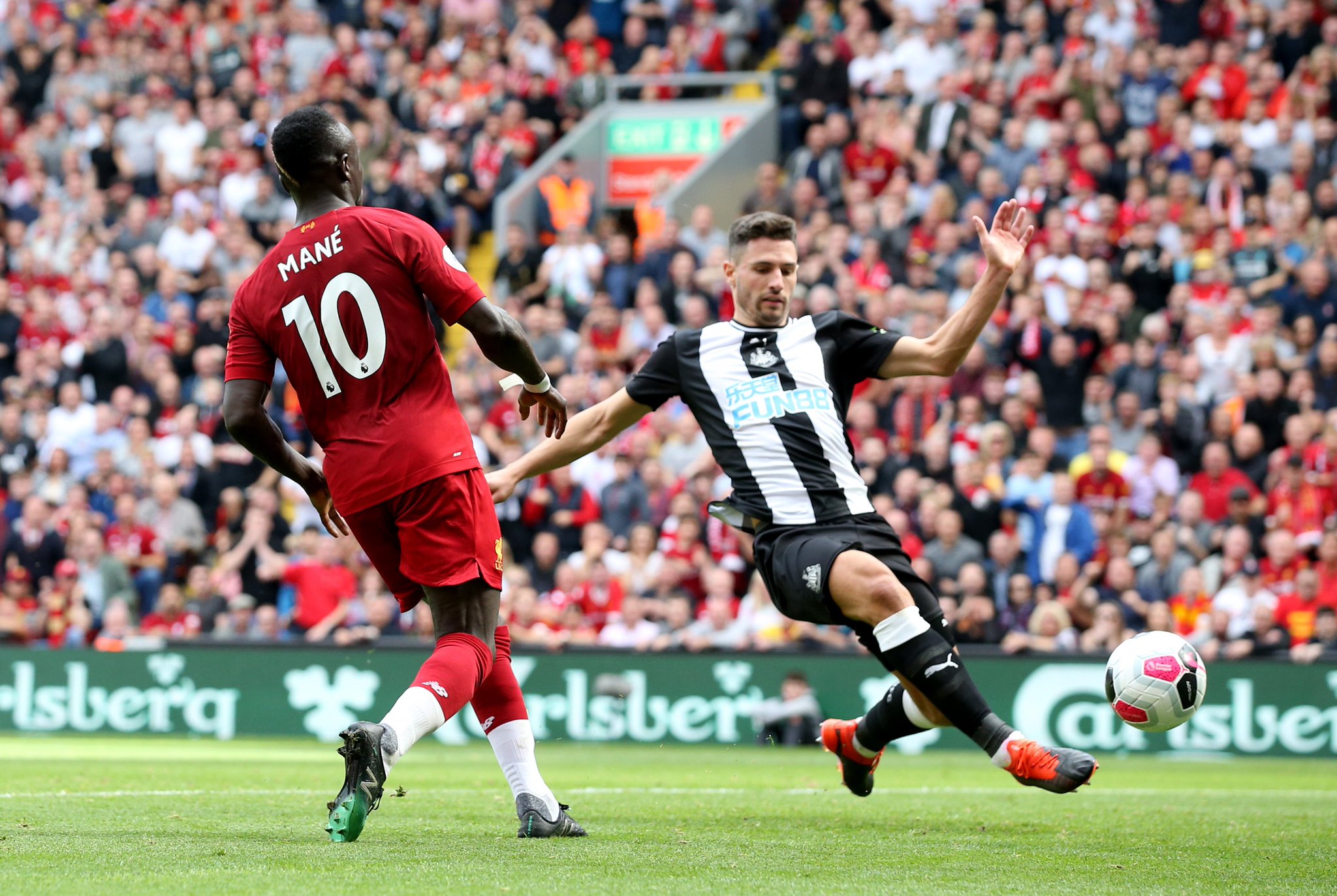 他们的努力 他们的努力