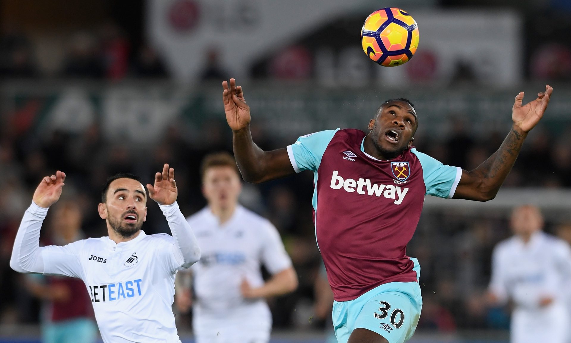 非常罕见 非常罕见